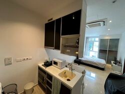 Cavan Suites (D8), Apartment #464379341